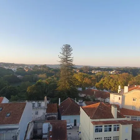 Caldas Da Rainha's & Brown Apartment