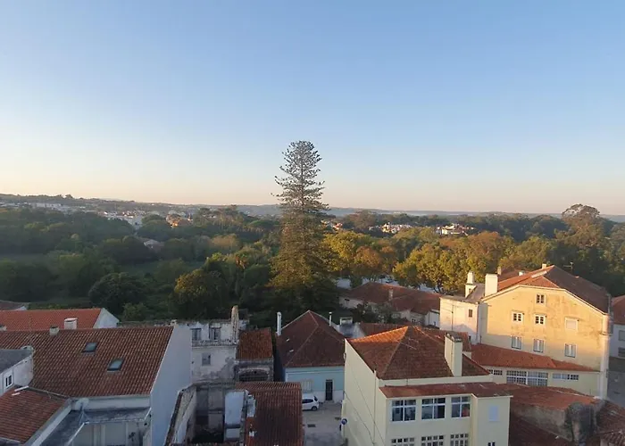 Caldas Da Rainha's & Brown Appartement