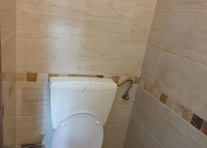 Caldas Da Rainha's & Brown Appartement